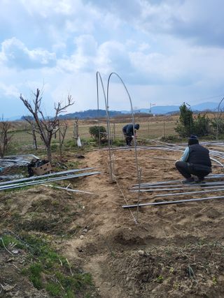 식만동 복합영농님의 자유주제 · 자유게시판 작성글 사진