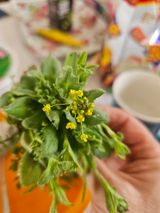 팜모닝 자유주제·자유게시판 게시글 이미지