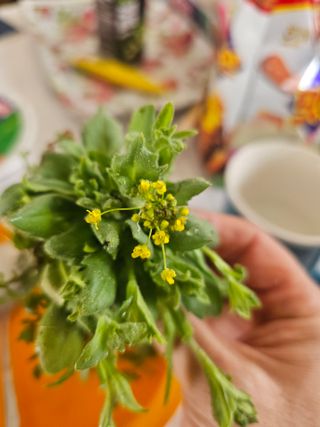 홍박사님의 자유주제 · 자유게시판 작성글 사진