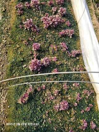 이동훈님의 자유주제 · 자유게시판 작성글 사진