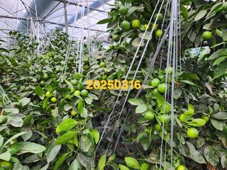 元齊金省洪님의 자유주제 · 자유게시판 작성글 사진