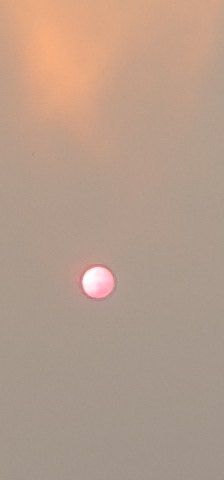 정백영님의 자유주제 · 자유게시판 작성글 사진