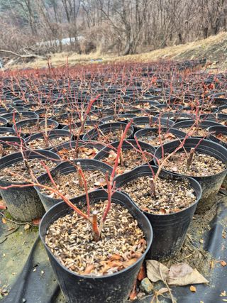 0105564157님의 자유주제 · 자유게시판 작성글 사진