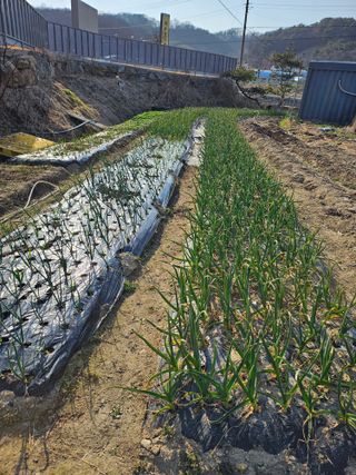 김강호님의 자유주제 · 자유게시판 작성글 사진