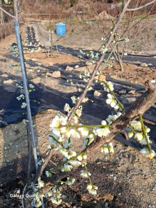 이세순님의 자유주제 · 자유게시판 작성글 사진