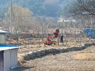 오임돈님의 자유주제 · 자유게시판 작성글 사진