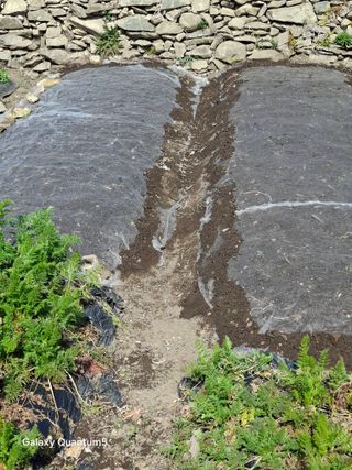 이세순님의 자유주제 · 자유게시판 작성글 사진