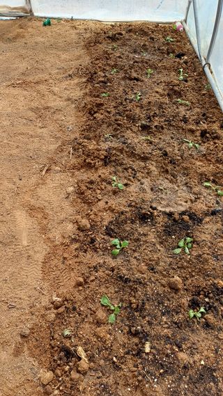 박순덕님의 자유주제 · 자유게시판 작성글 사진