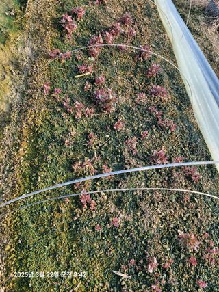 이동훈님의 자유주제 · 자유게시판 작성글 사진