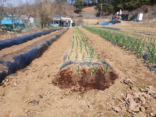 정재홍님의 자유주제 · 사진전 작성글 사진