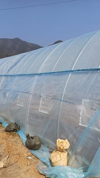 박순덕님의 자유주제 · 자유게시판 작성글 사진