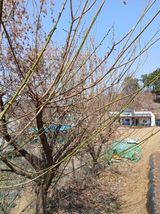 팜모닝 자유주제·사진전 게시글 이미지