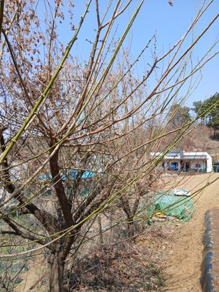 정재홍님의 자유주제 · 사진전 작성글 사진