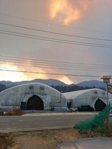 팜모닝 자유주제·자유게시판 게시글 이미지