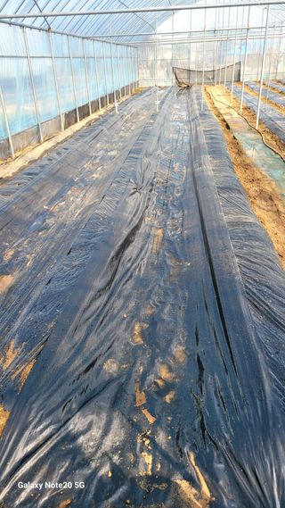 제주농부님의 자유주제 · 자유게시판 작성글 사진