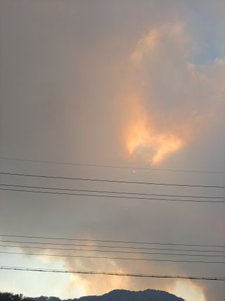 정백영님의 자유주제 · 자유게시판 작성글 사진