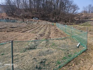 흥부네땅님의 자유주제 · 자유게시판 작성글 사진