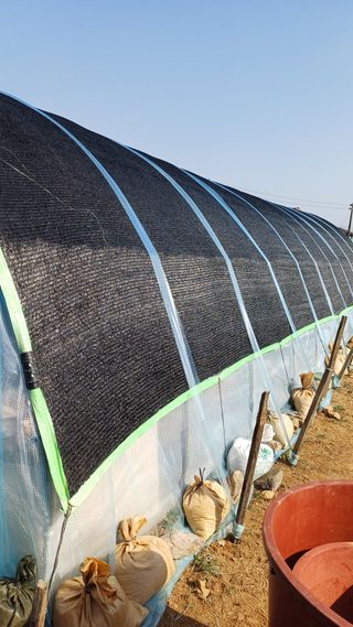 박순덕님의 자유주제 · 자유게시판 작성글 사진