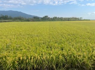 이순화님의 자유주제 · 자유게시판 작성글 사진