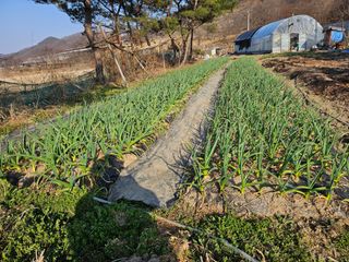 김강호님의 자유주제 · 자유게시판 작성글 사진