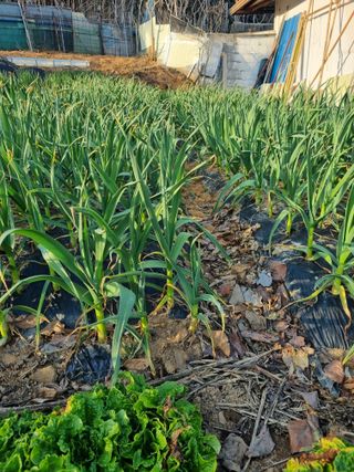 김선두님의 자유주제 · 자유게시판 작성글 사진