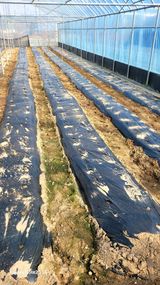 팜모닝 자유주제·자유게시판 게시글 이미지