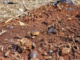 farmer님의 자유주제 · 자유게시판 작성글 사진