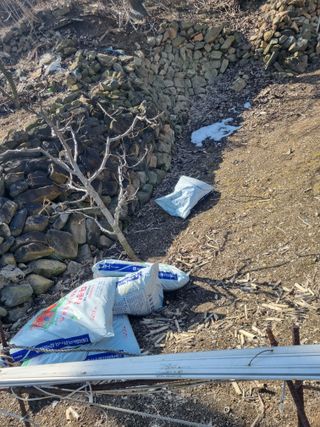 김용대님의 자유주제 · 자유게시판 작성글 사진