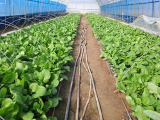 성실한 농부님의 자유주제 · 자유게시판 작성글 사진