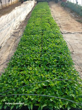 이창우님의 자유주제 · 자유게시판 작성글 사진