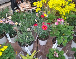 철남 김희곤님의 자유주제 · 자유게시판 작성글 사진