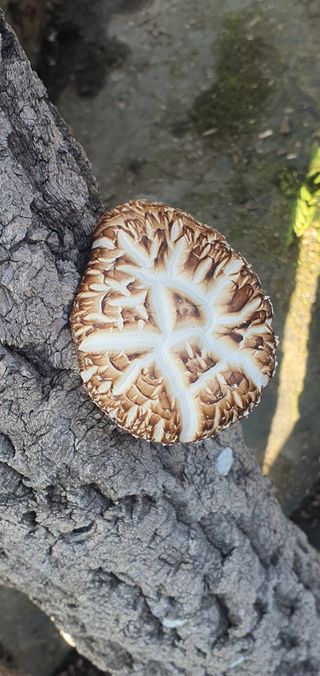 한밭농원님의 자유주제 · 자유게시판 작성글 사진