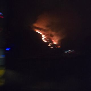 향기나무농장 님의 자유주제 · 자유게시판 작성글 사진