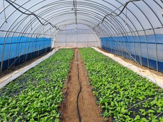 성실한 농부님의 자유주제 · 자유게시판 작성글 사진