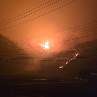 향기나무농장 님의 자유주제 · 자유게시판 작성글 사진