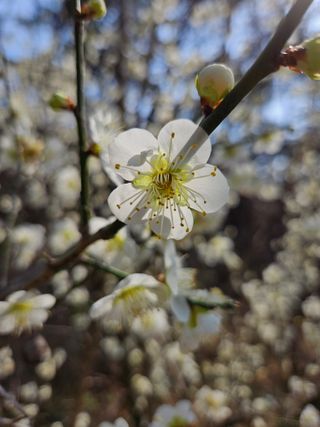경희아짐님의 자유주제 · 자유게시판 작성글 사진