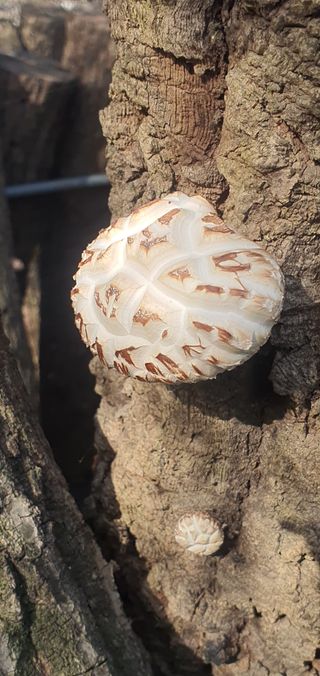 한밭농원님의 자유주제 · 자유게시판 작성글 사진