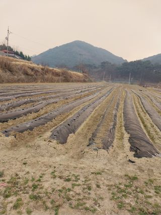 정백영님의 자유주제 · 자유게시판 작성글 사진