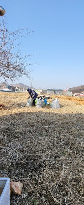 장경화님의 자유주제 · 자유게시판 작성글 사진