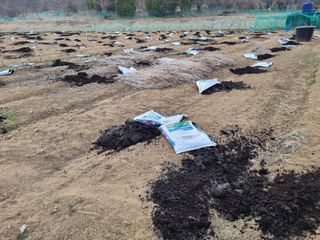 들꽃농장님의 자유주제 · 자유게시판 작성글 사진