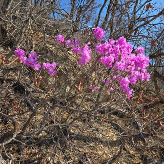 양배추21889님의 자유주제 · 사진전 작성글 사진