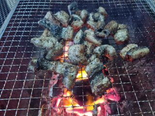 들꽃농장님의 자유주제 · 자유게시판 작성글 사진