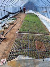 팜모닝 자유주제·자유게시판 게시글 이미지