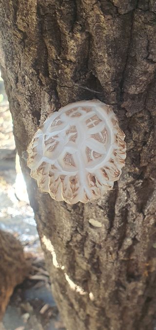 한밭농원님의 자유주제 · 자유게시판 작성글 사진