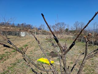 철남 김희곤님의 자유주제 · 자유게시판 작성글 사진