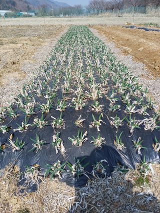 남궁봉님의 자유주제 · 자유게시판 작성글 사진