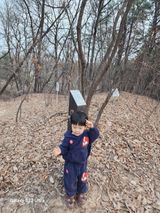 팜모닝 자유주제·자유게시판 게시글 이미지