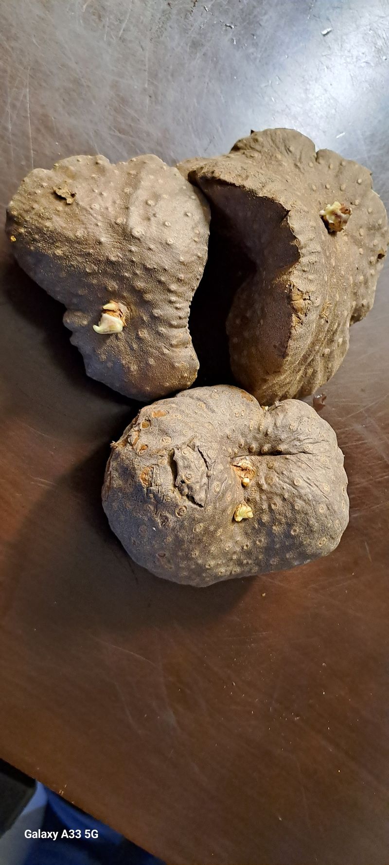 장터 상품 [하늘마1kg] 썸네일