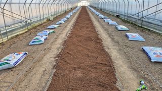 김동수님의 자유주제 · 자유게시판 작성글 사진