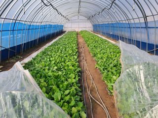 성실한 농부님의 자유주제 · 자유게시판 작성글 사진